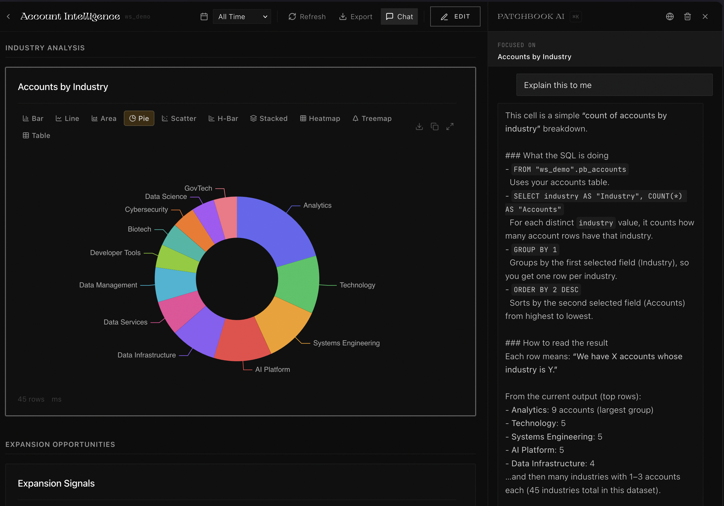 PATCHBOOK Account Intelligence notebook with industry breakdown and AI analysis